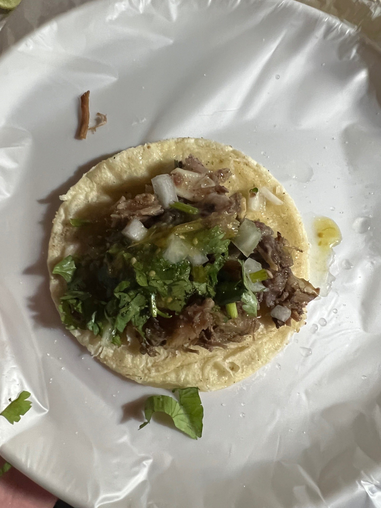 VIP - Taco Fiesta  - Nuevo Vallarta, Bucerías, or La Cruz de Huanacaxtle