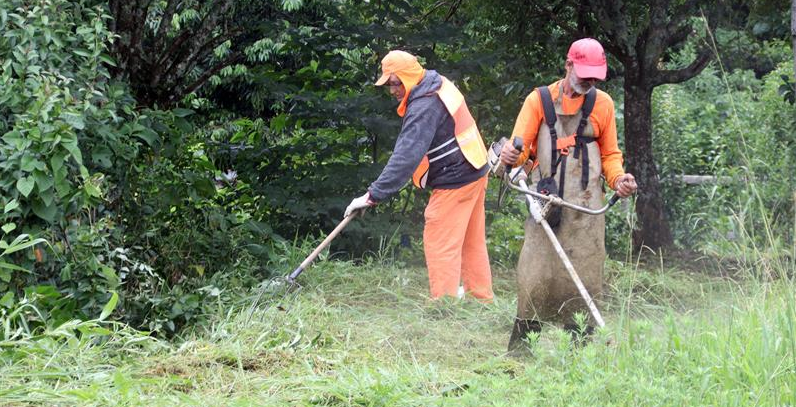 LIMPEZA DE TERRENOS (Jardineiro)