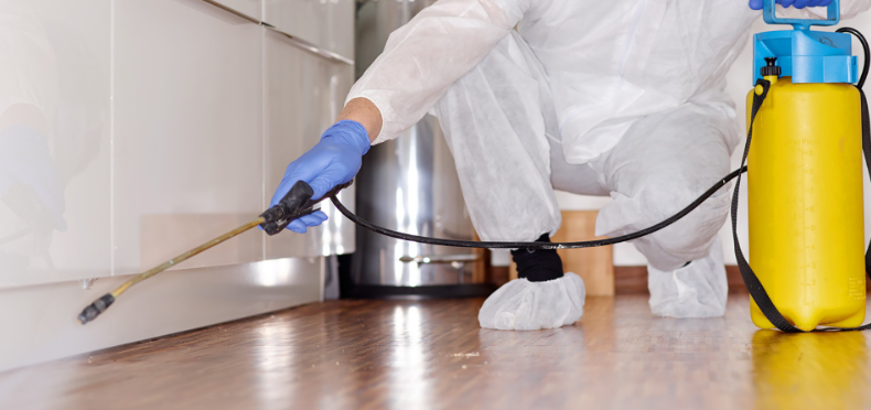 DEDETIZAÇÃO (Insetos, Formigas, Baratas, Ratos, Cupins, Mosquitos)