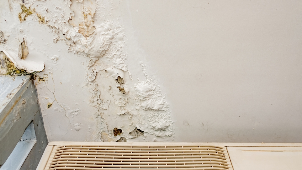 REPARO EM INFILTRAÇÕES