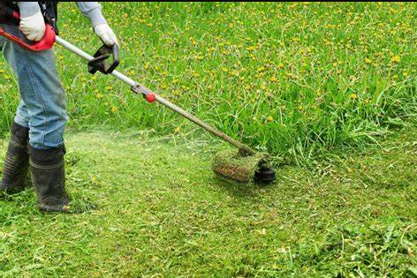 CORTE DE GRAMA (Jardineiro)