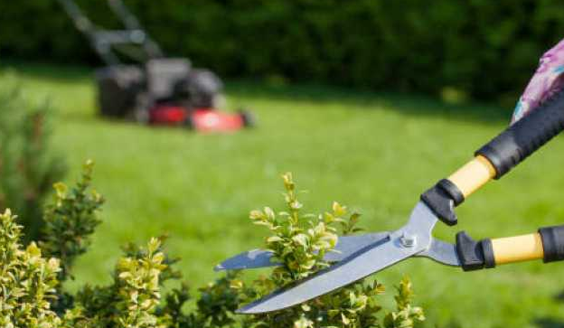 MANUTENÇÃO DE JARDIM (Jardineiro)