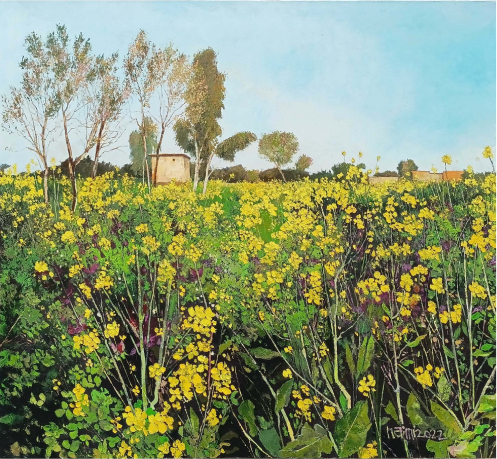 The Golden Bloom of Punjab