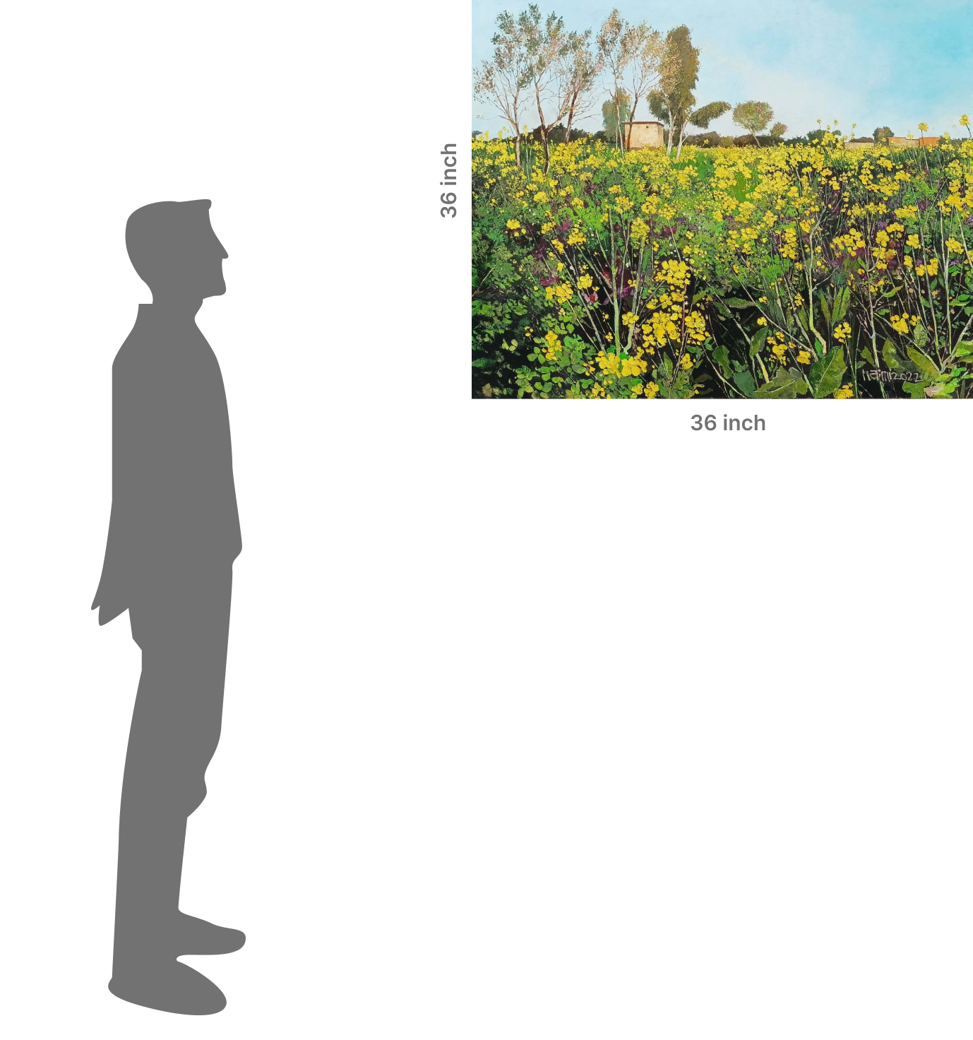 The Golden Bloom of Punjab