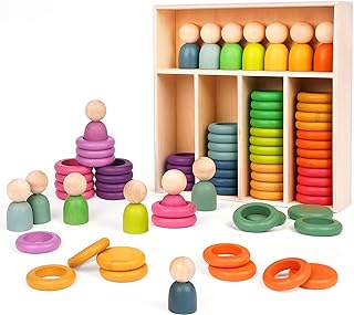 Wooden Montessori Sorting Toy Set