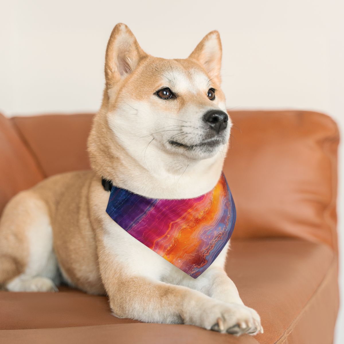 Adorable Vibrant Color Bandana Collar