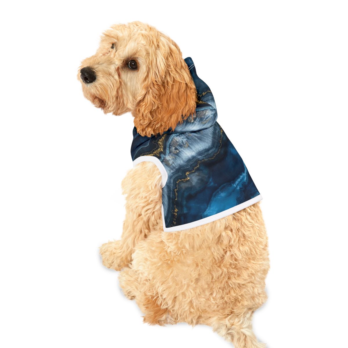 Adorable Blue Marble Pet Hoodie