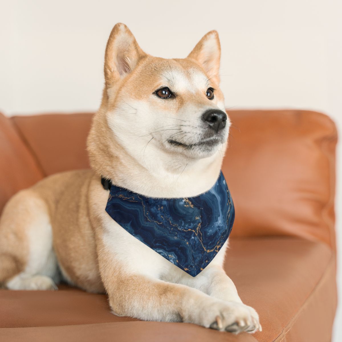Adorable Blue Marble Bandana Collar