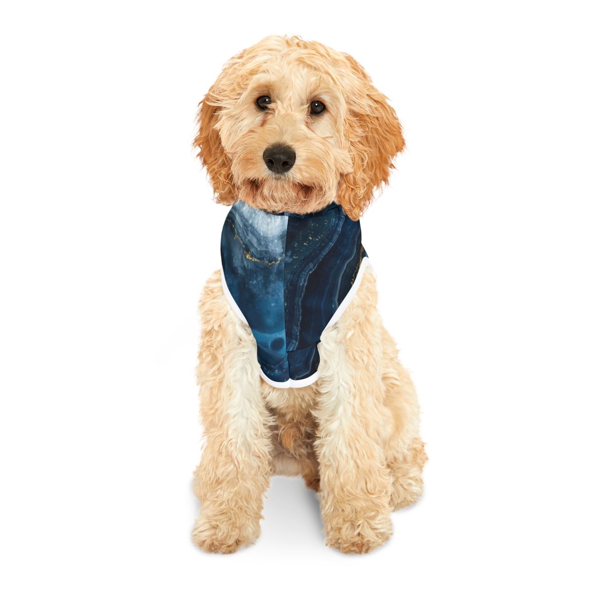 Adorable Blue Marble Pet Hoodie