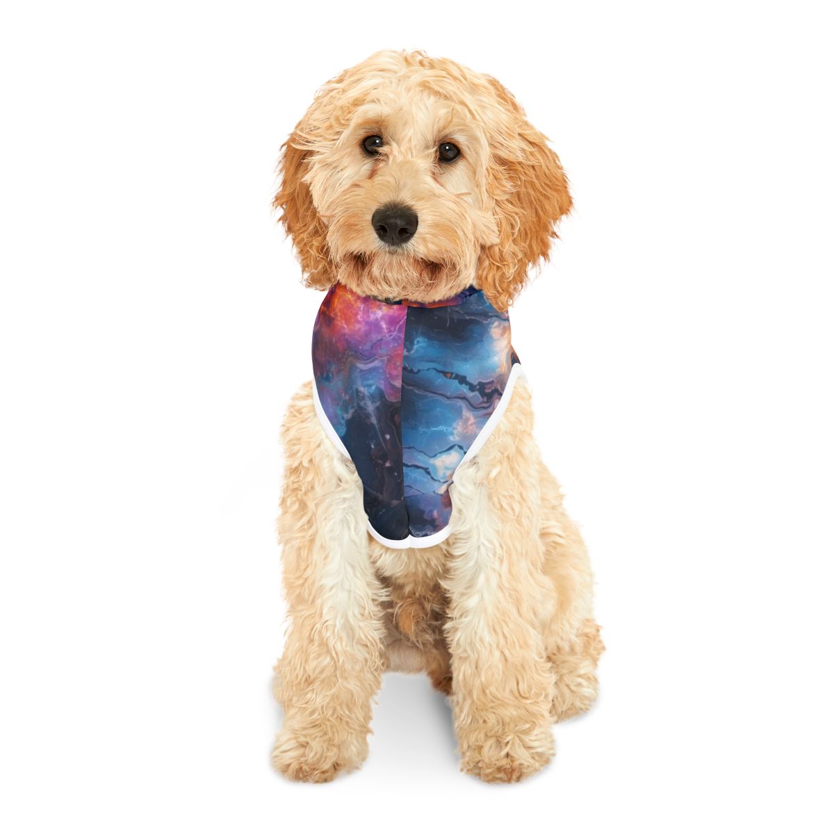 Adorable Galactic Marble Pet Hoodie