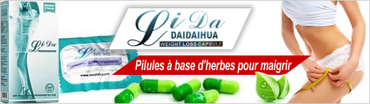 LIDA DaiDaiHua