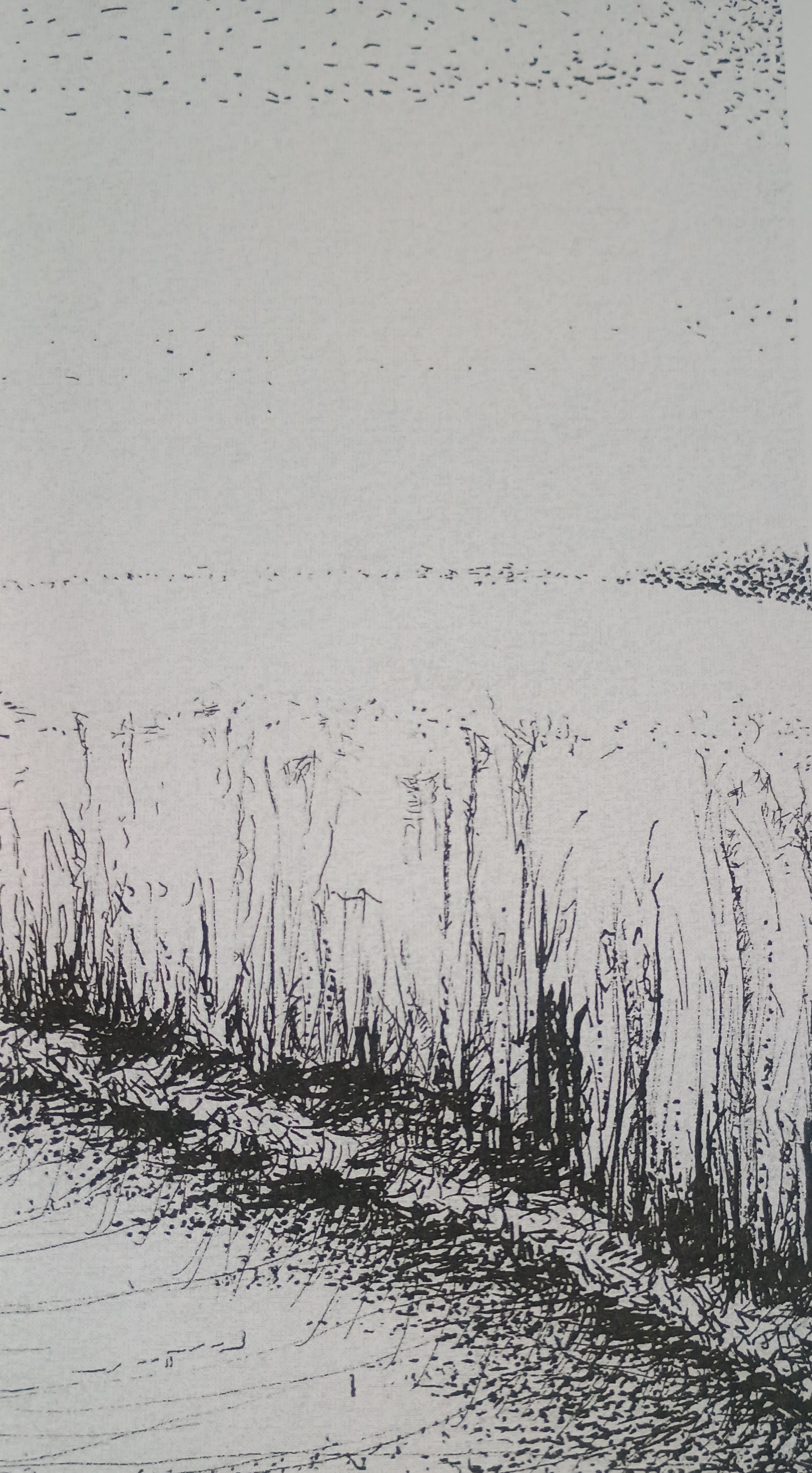 Polna droga  - cienkopis na papierze format A3