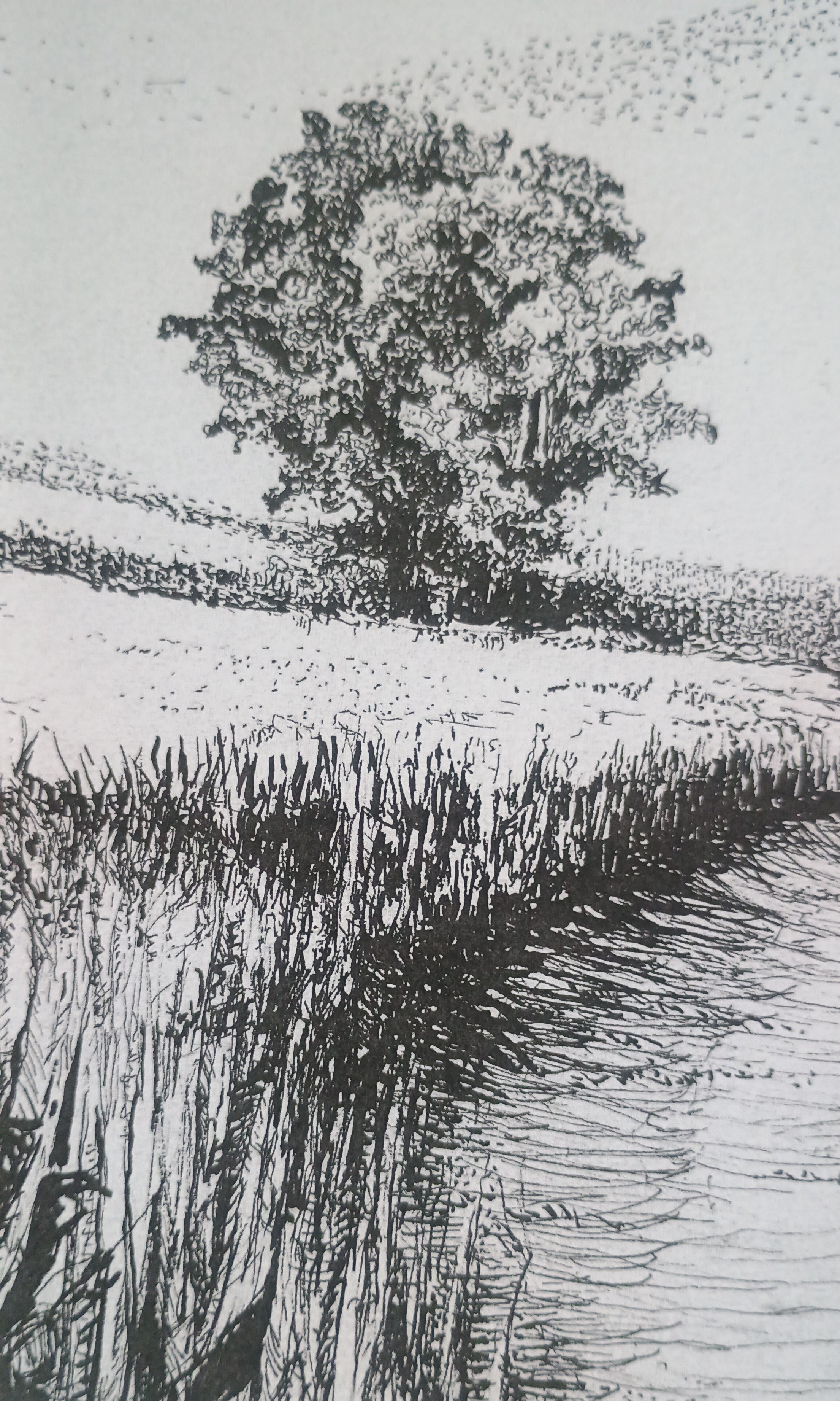 Polna droga  - cienkopis na papierze format A3