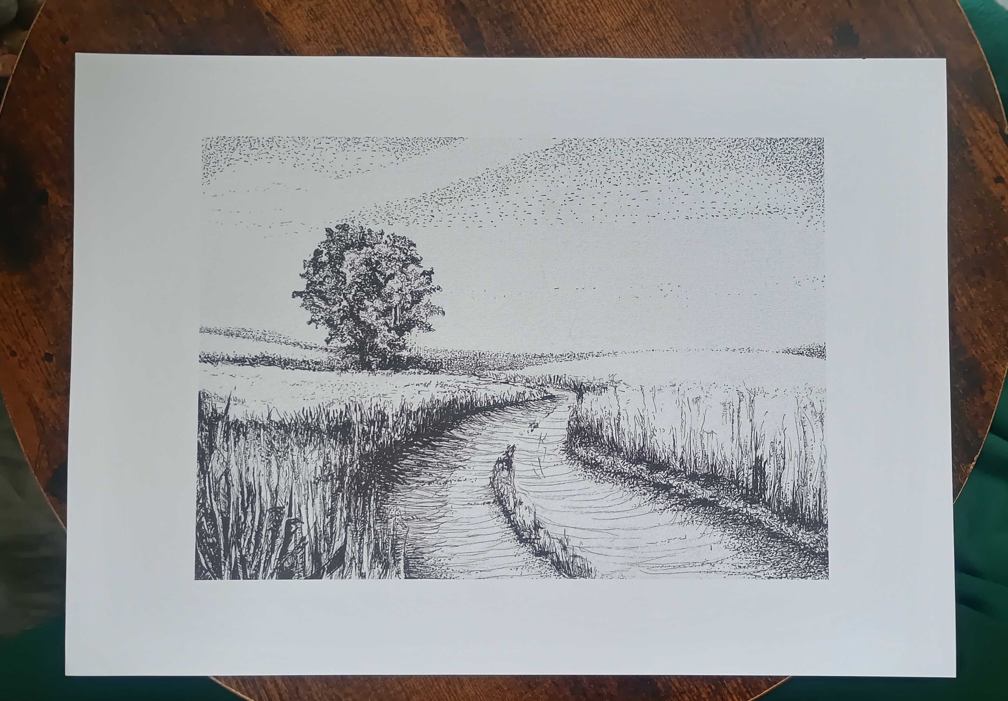 Polna droga  - cienkopis na papierze format A3