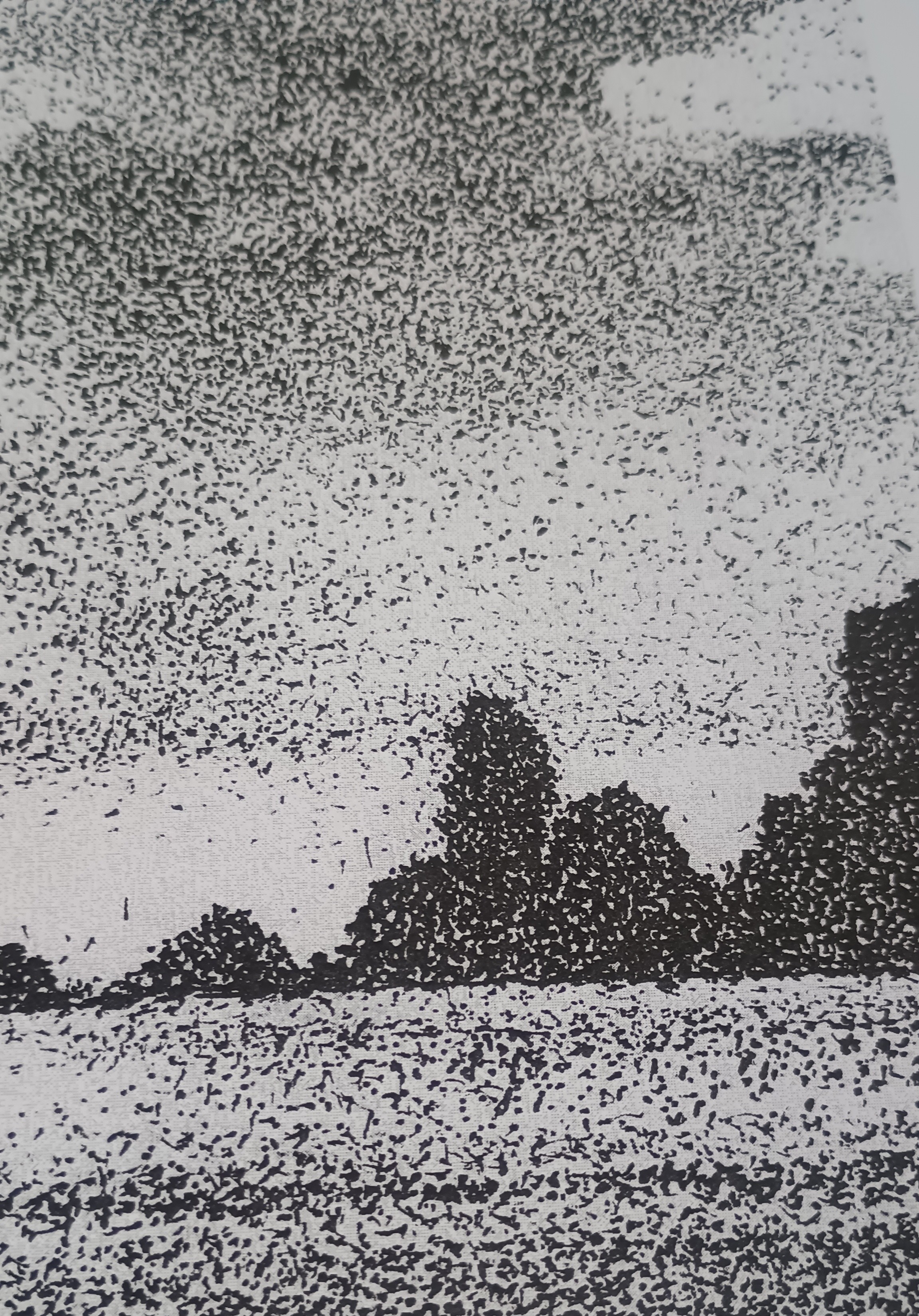 Wiatr  - cienkopis na papierze format A3