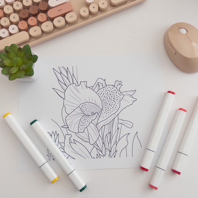 Sunflower and Exotic Flower Coloring Sheet Printable 2 pages 