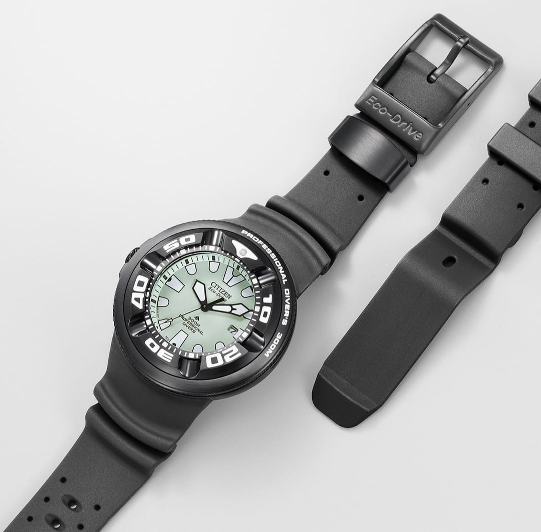 Citizen Ecozilla Natulite (Mo. BJ8055-04X)