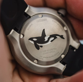 Relógio Citizen Promaster Orca BN0230-04E