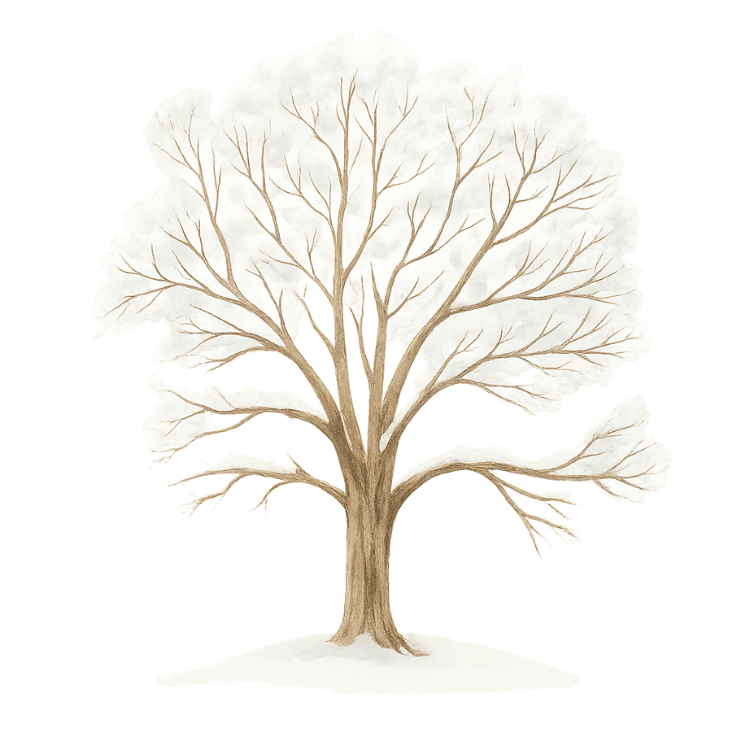 Free Winter Bare Tree Clipart