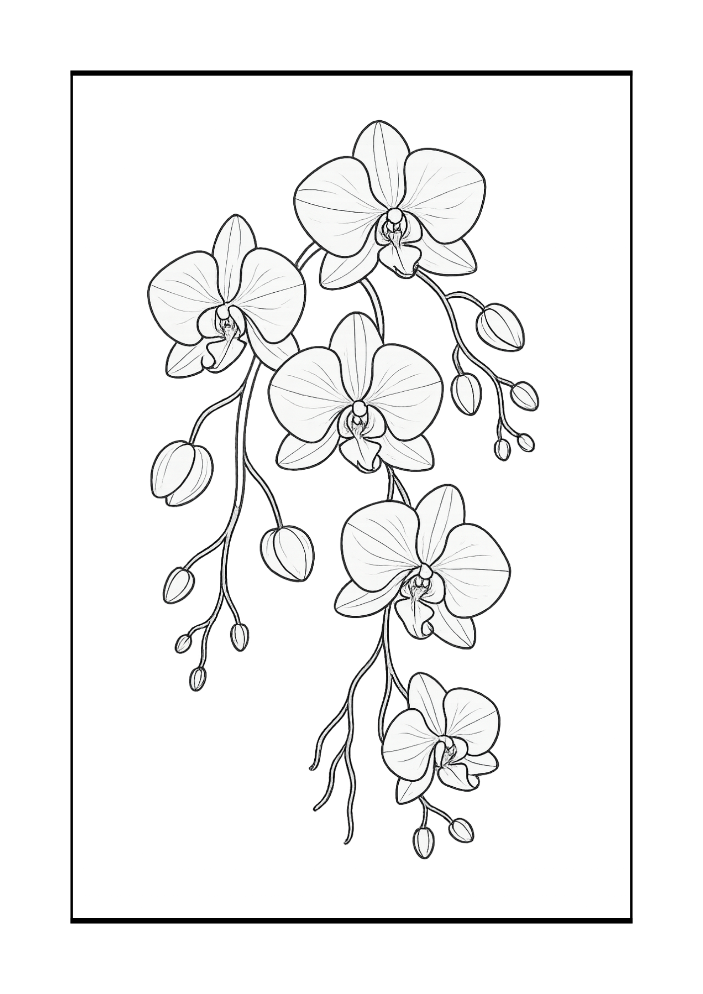 Free Elegant Flower Coloring Pages Set (PDF, 300 DPI)