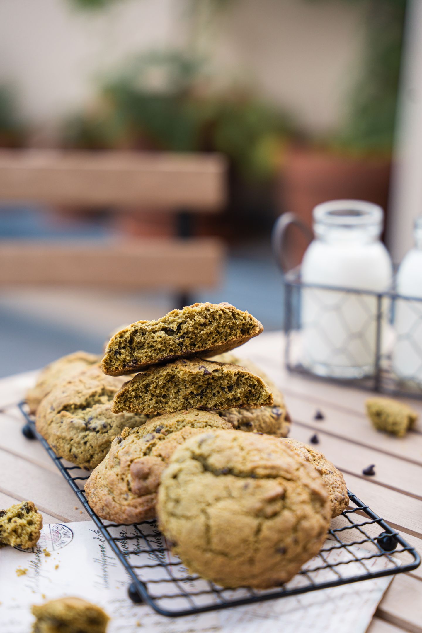 Cookies Moringa - Chocolat