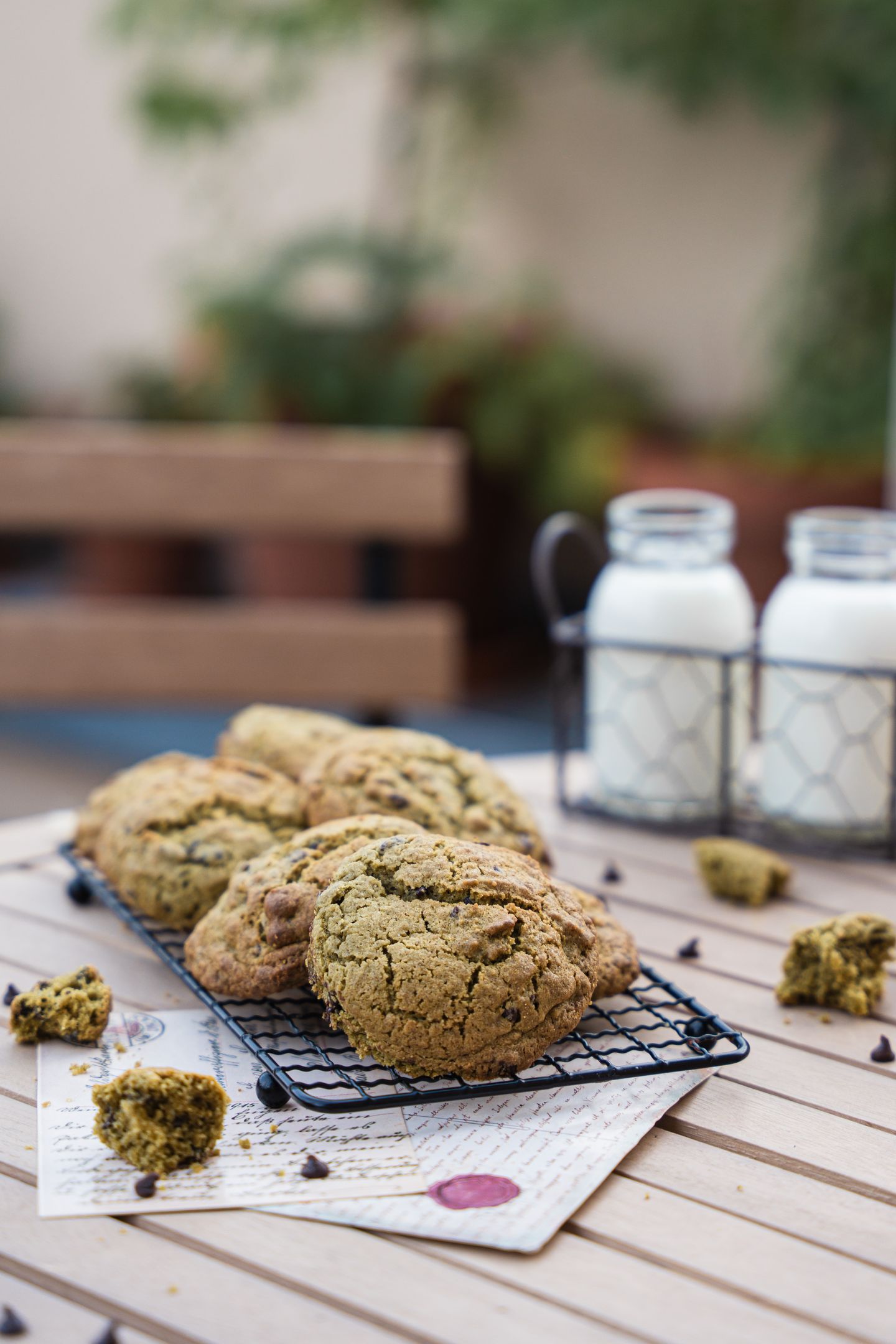 Cookies Moringa - Chocolat