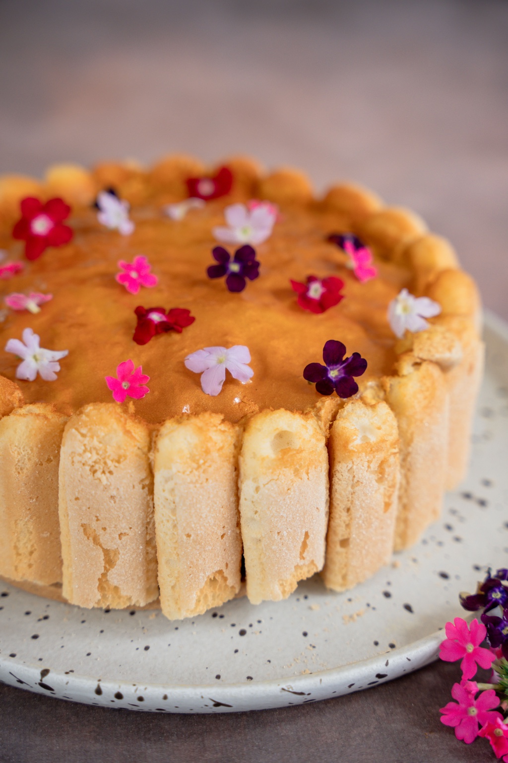 Charlotte Tamarin - Marrons