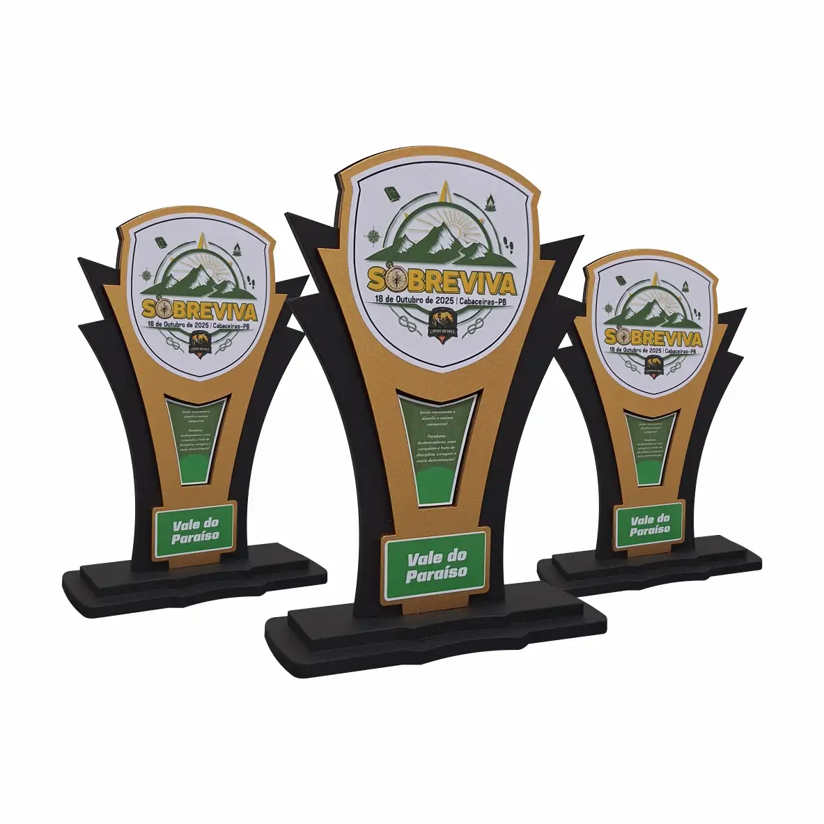 Troféu esportivo - 88