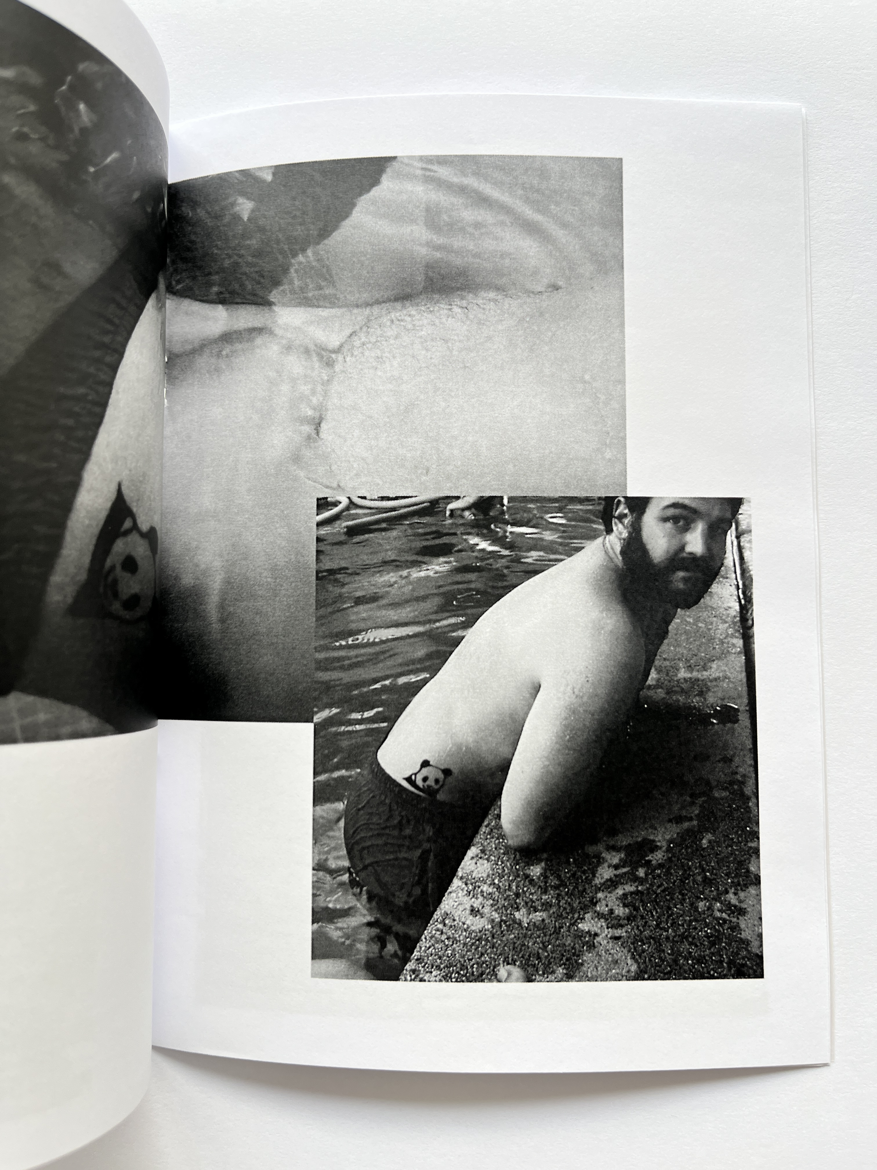 Zine untitled (panda)