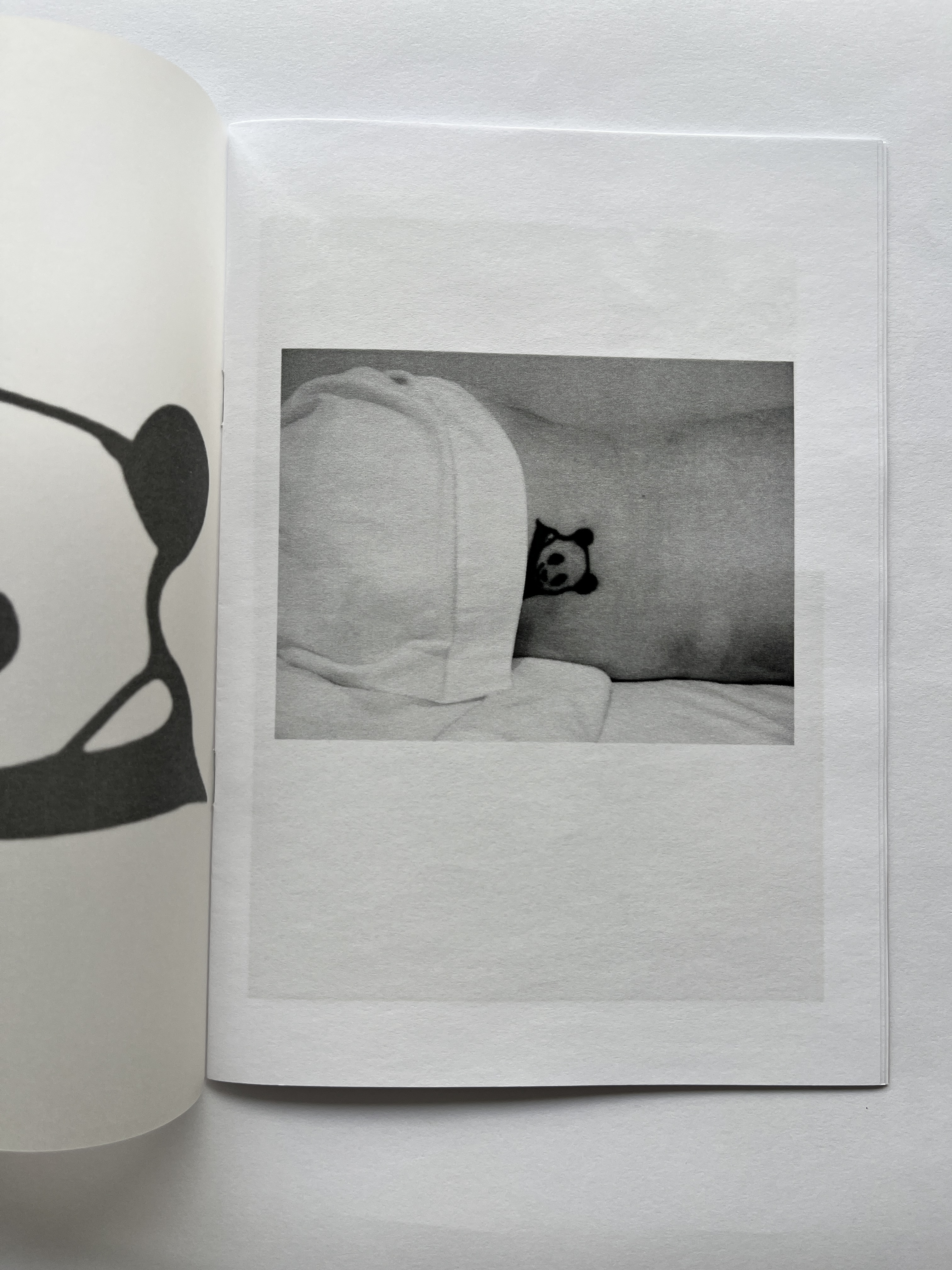 Zine untitled (panda)