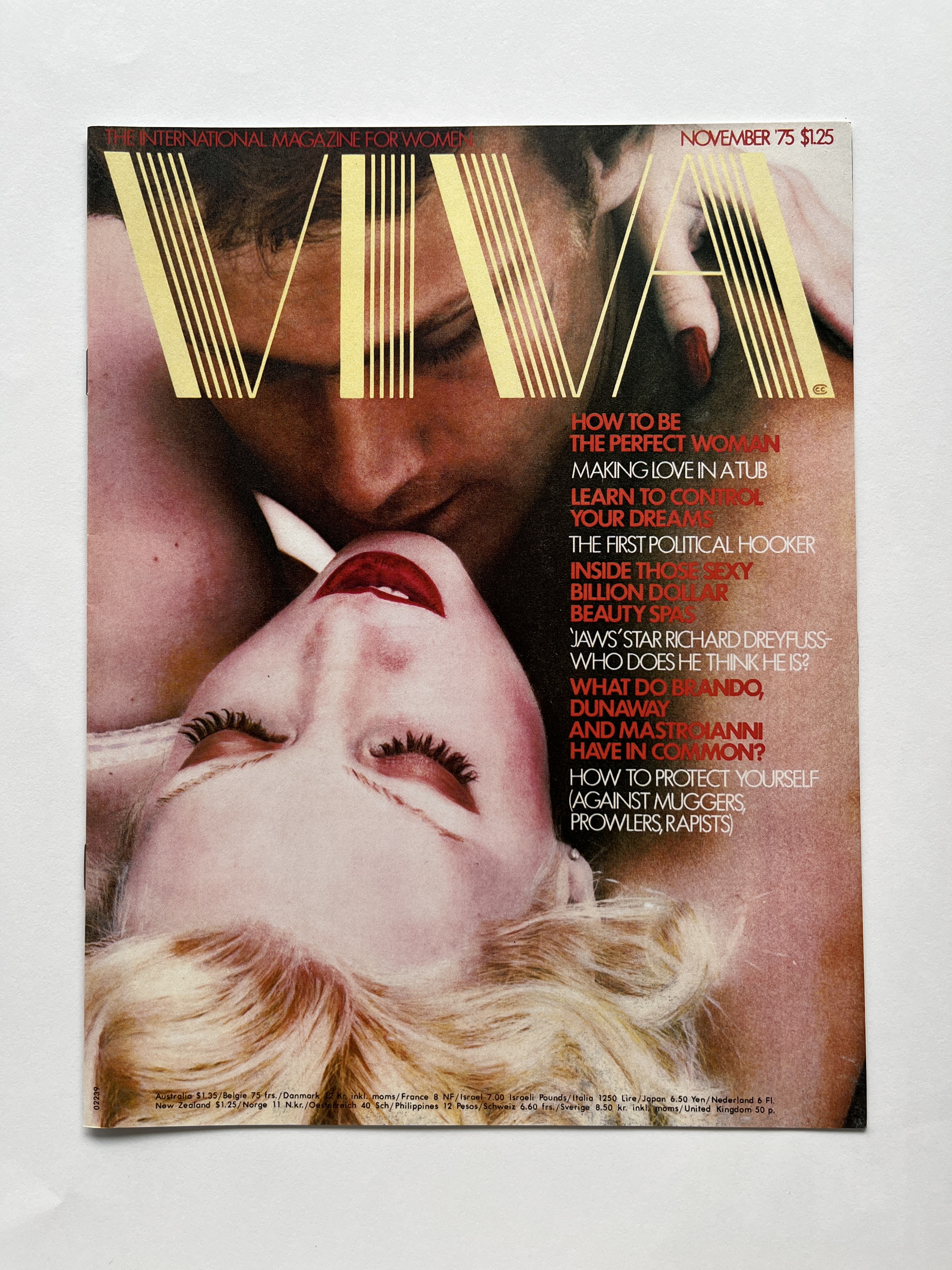 Zine Viva November '75