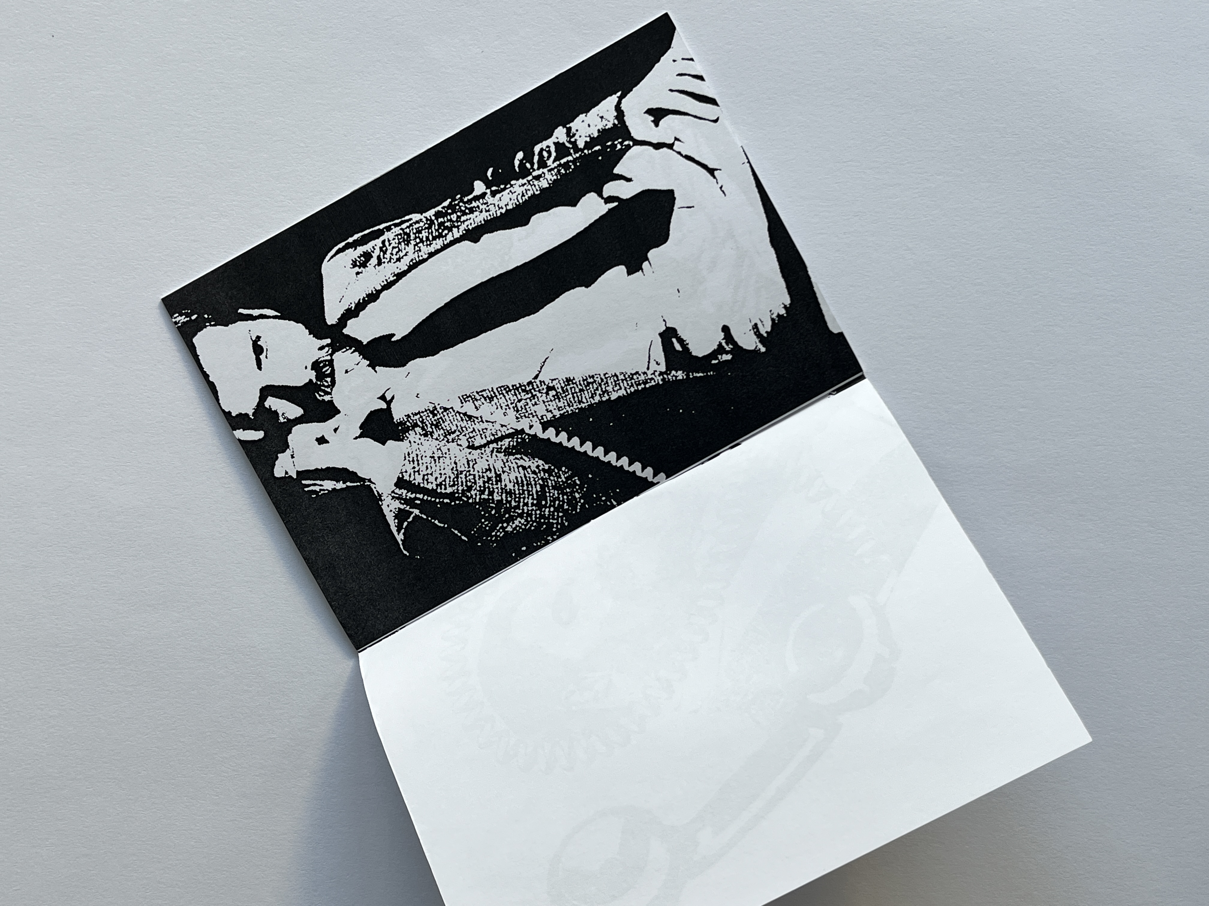 Zine - Phone call with Michael Braun