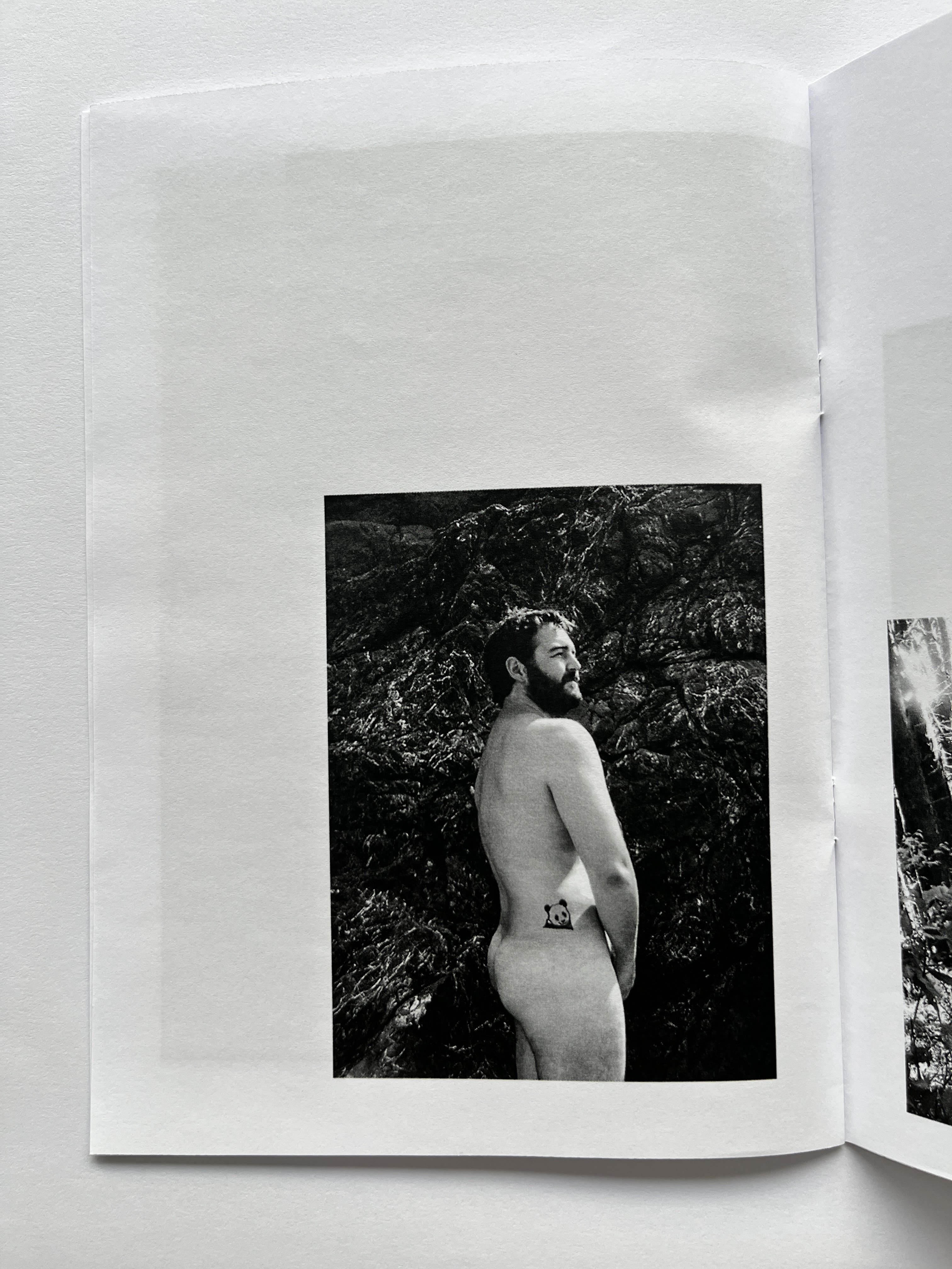 Zine untitled (panda)