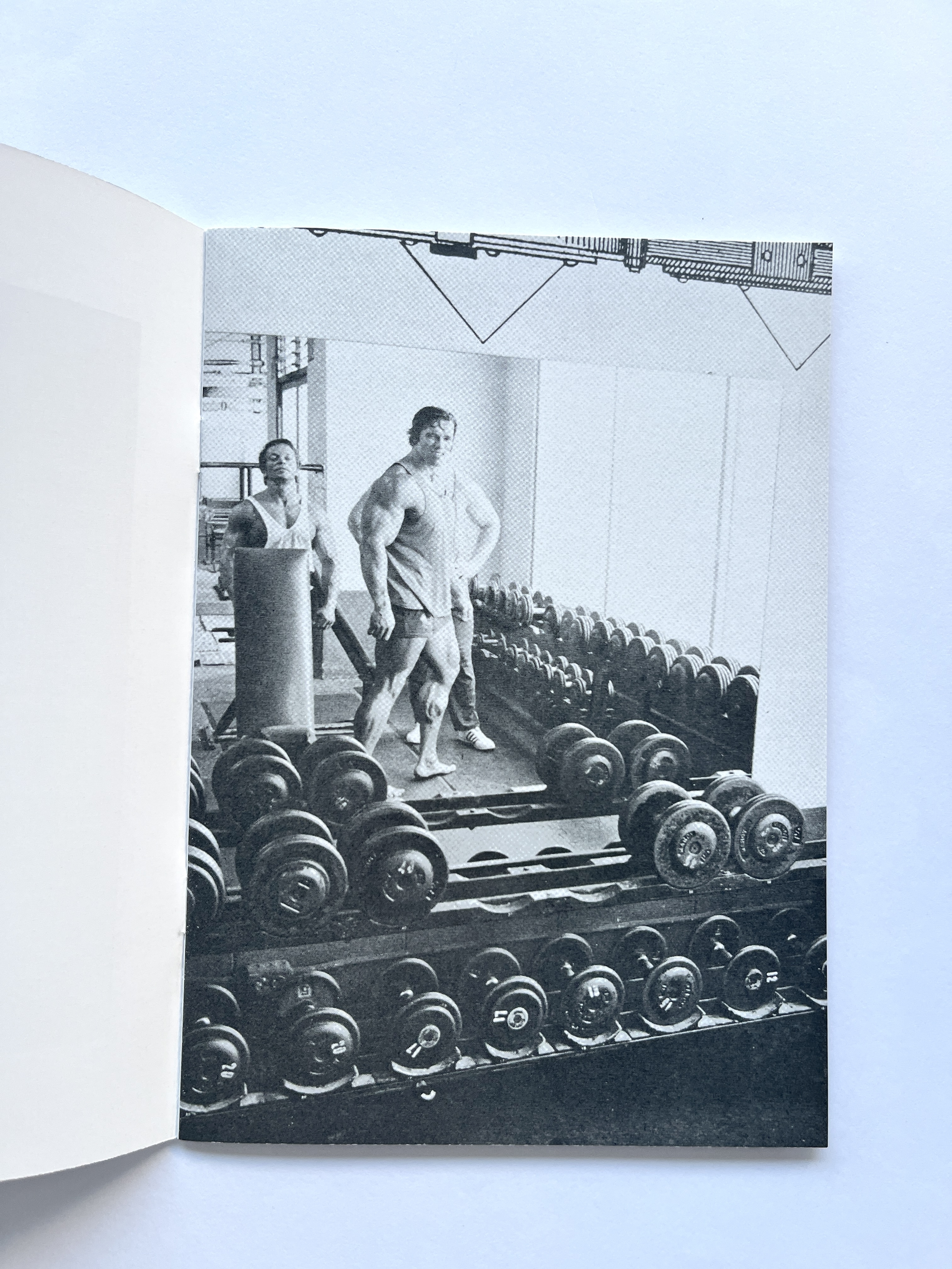 Zine Arnold Schwarzenegger