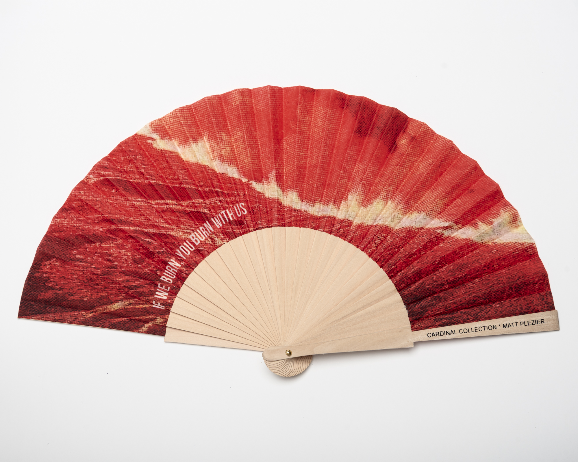 Fan the Flames by Matt Plezier