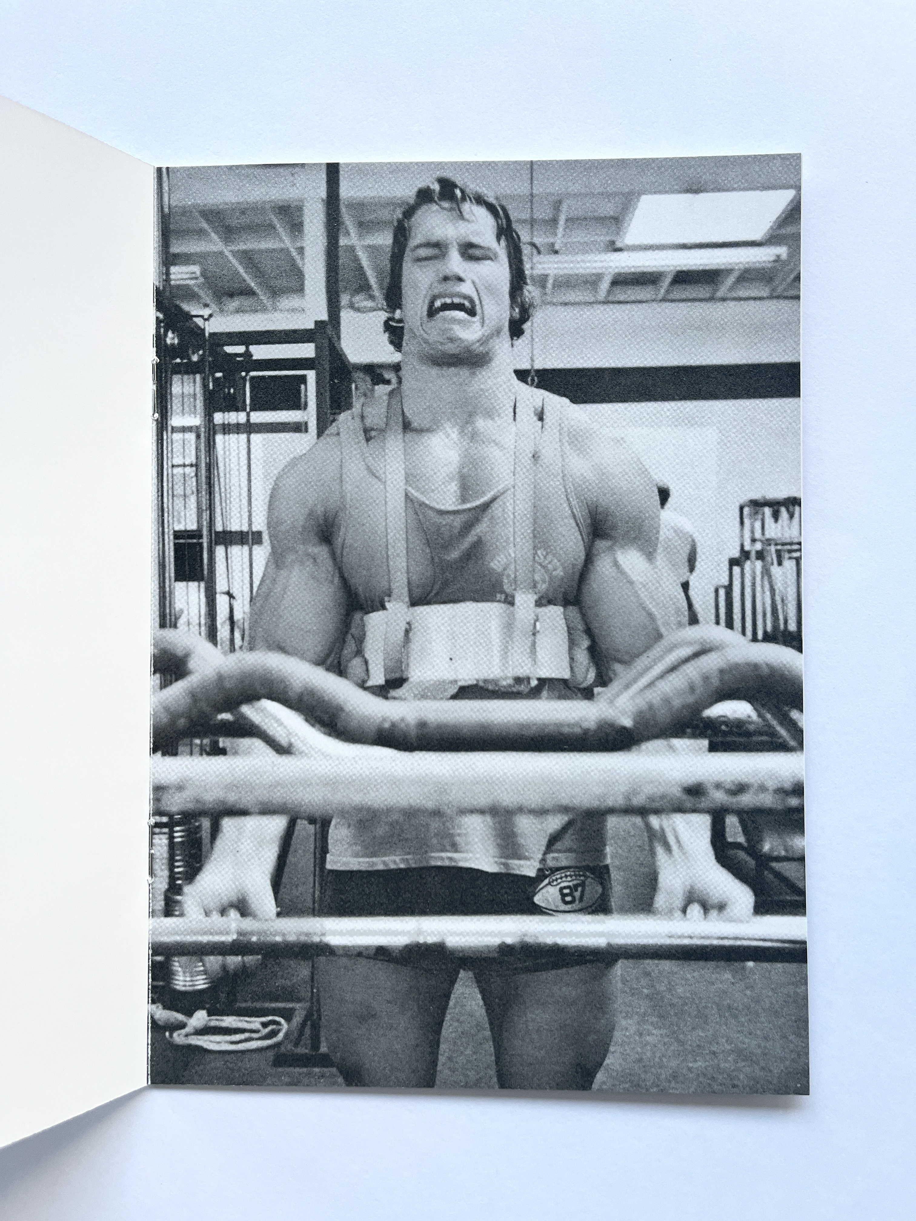 Zine Arnold Schwarzenegger