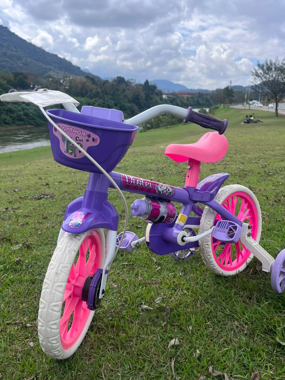 Aro 12 Violet