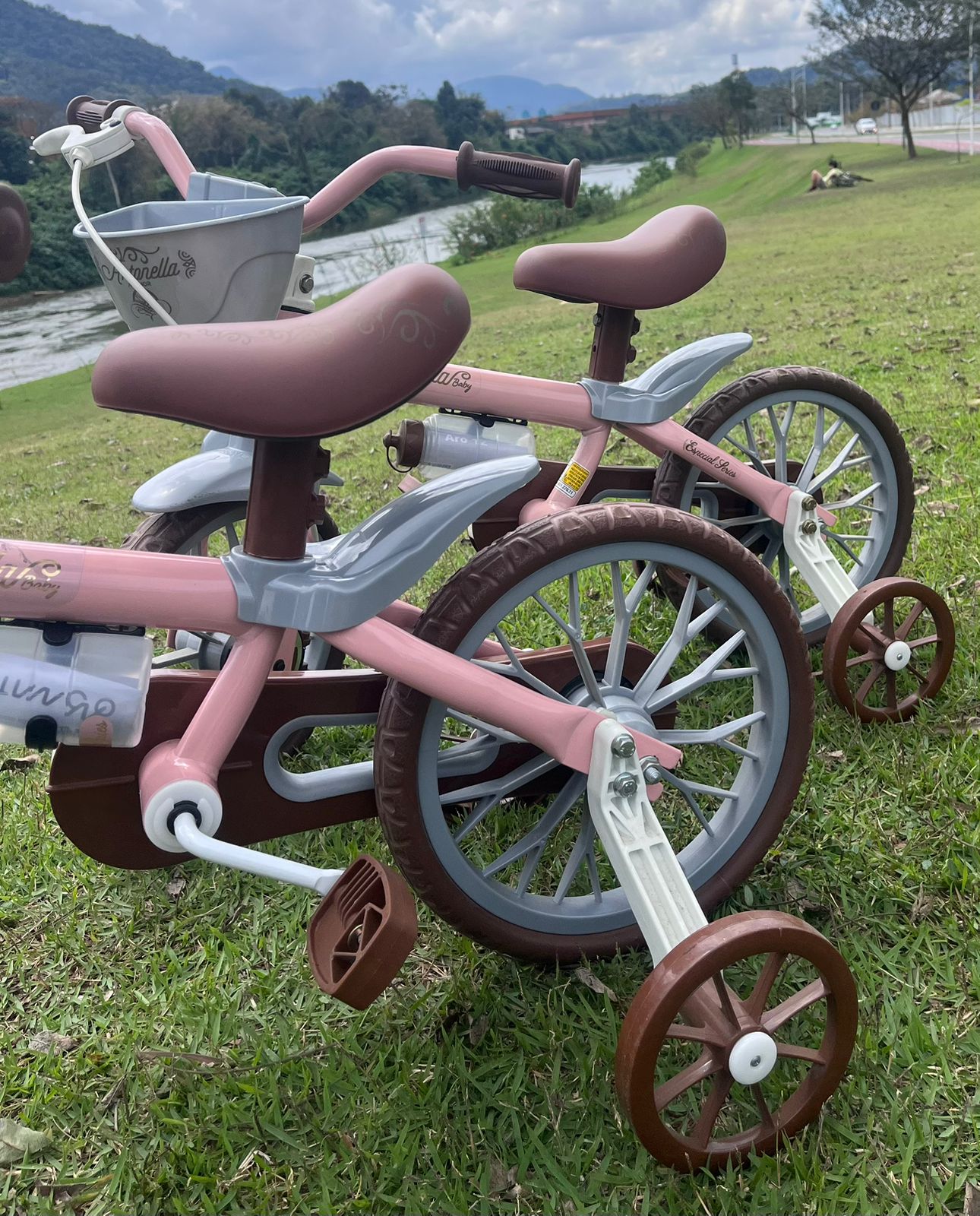 Bicicleta Antonela aro 12 