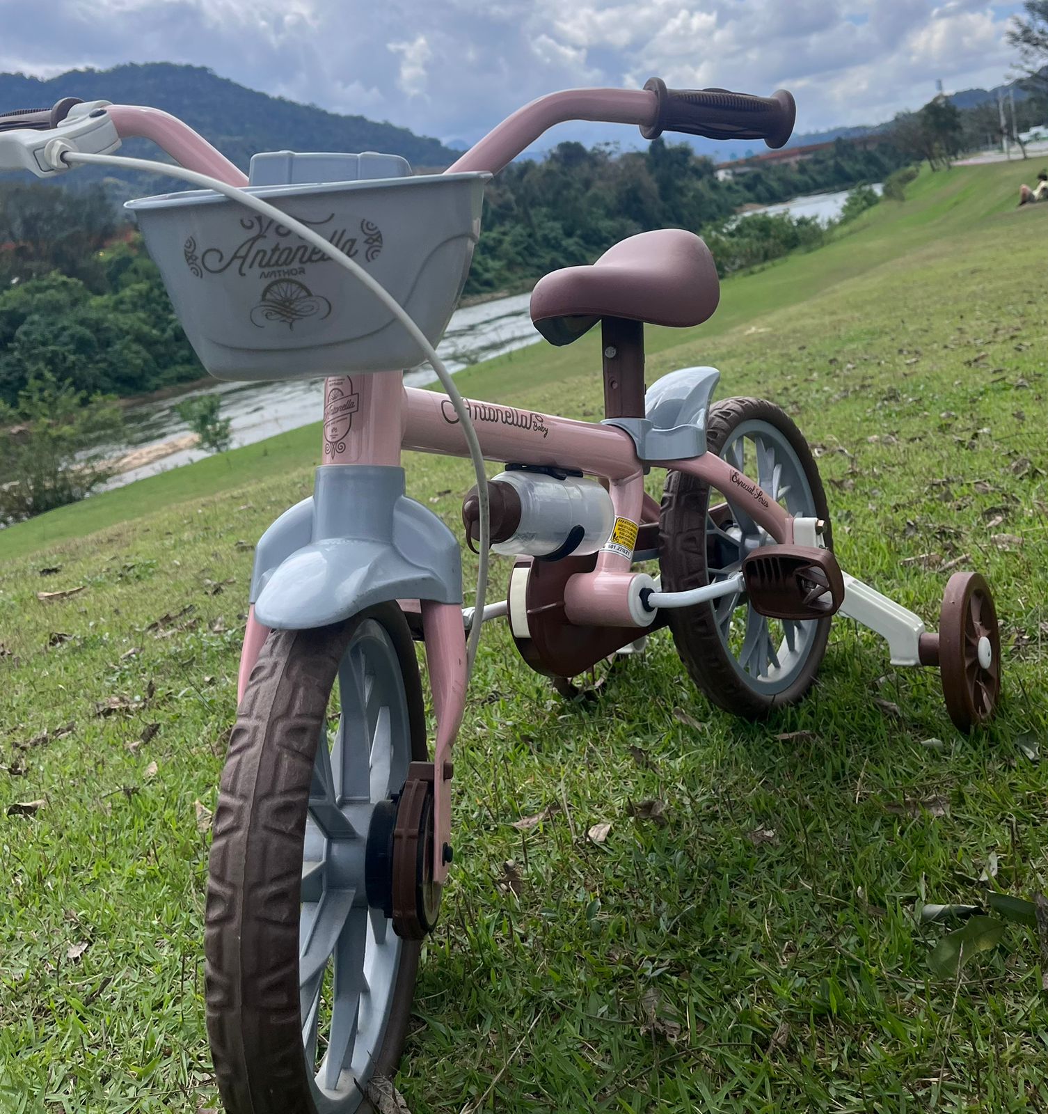Bicicleta Antonela aro 12 