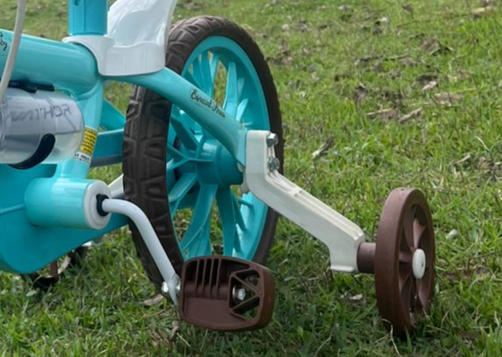 Bicicleta Antonela aro 12 