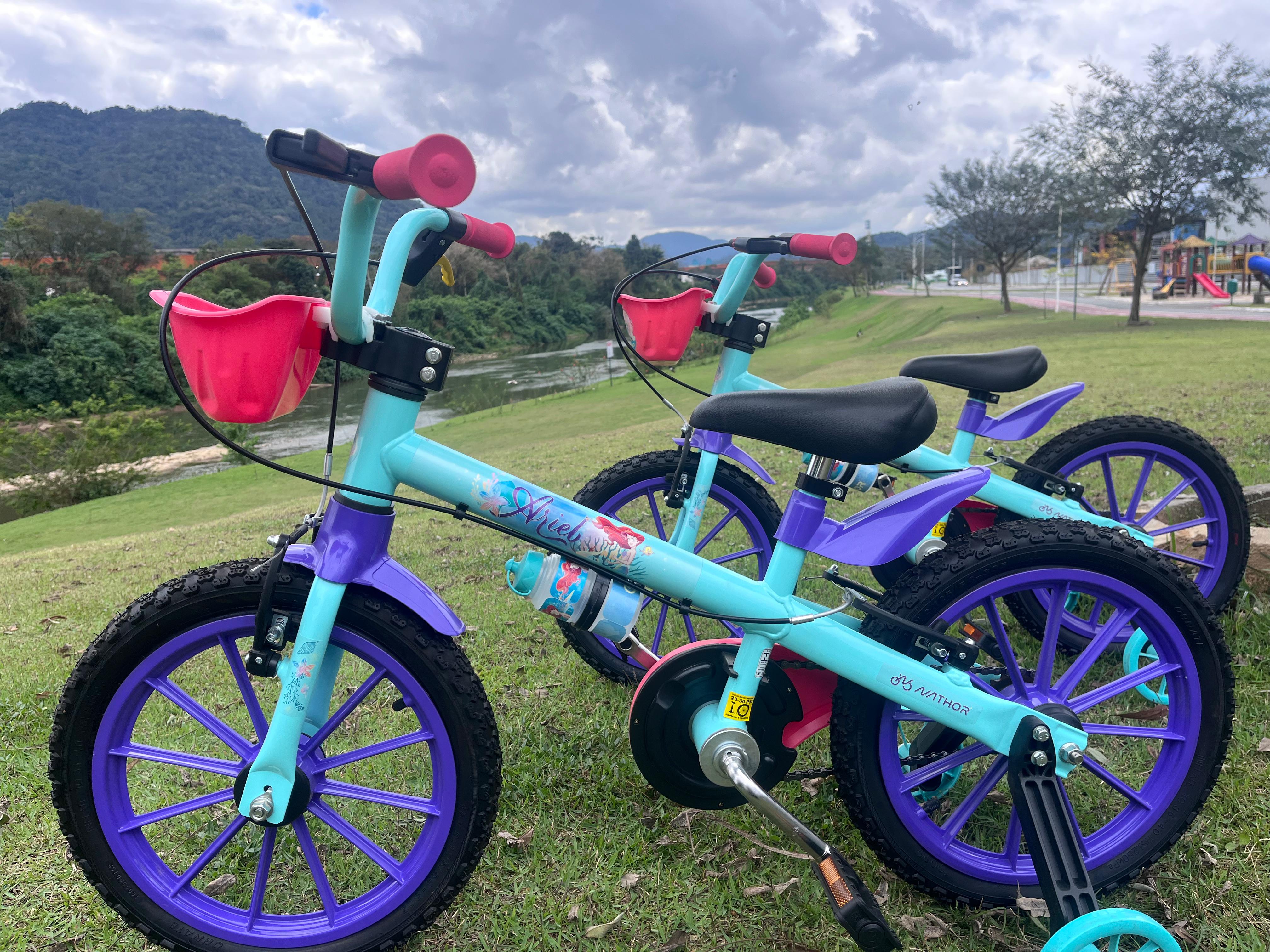 Aro 16 Ariel 