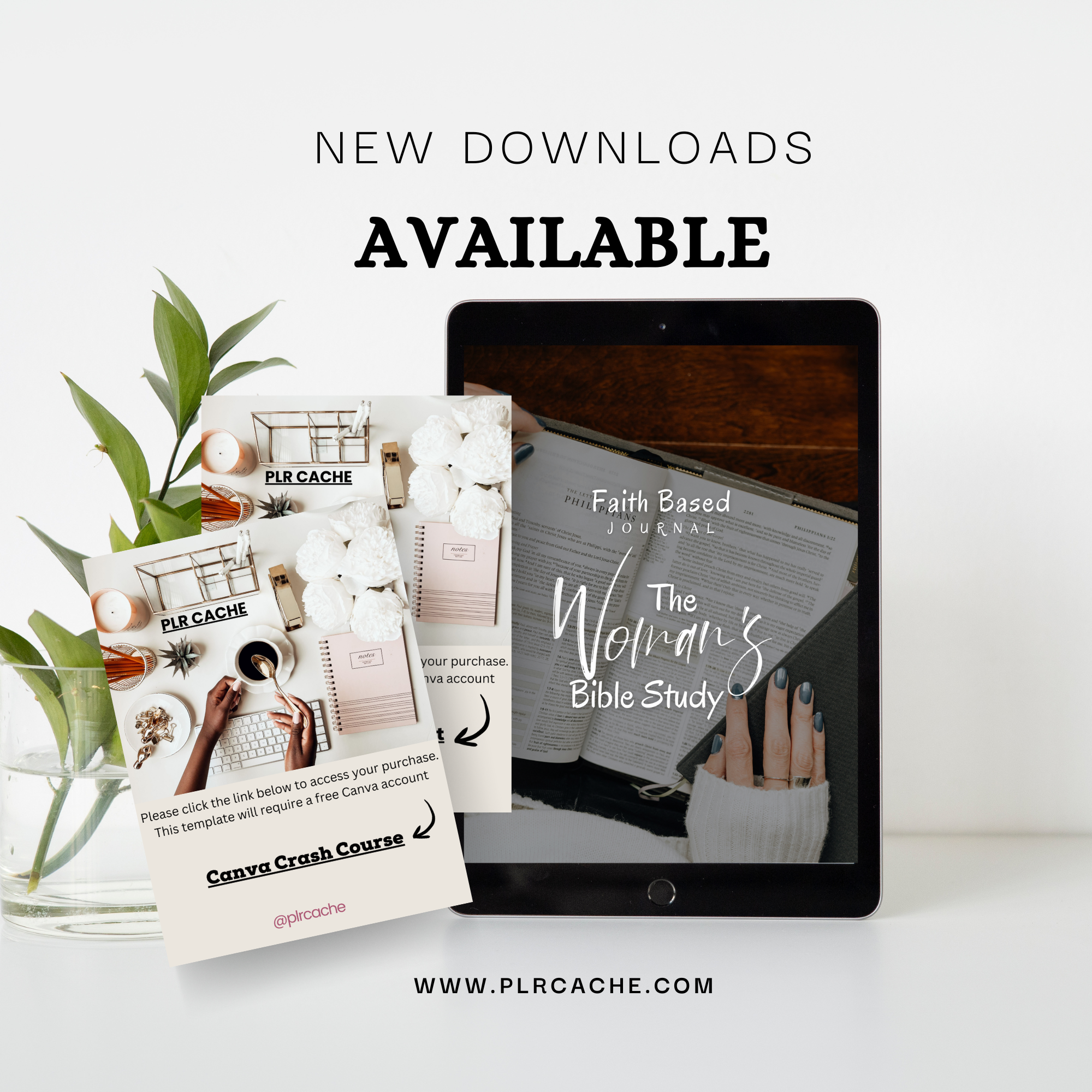 Canva Crash Course