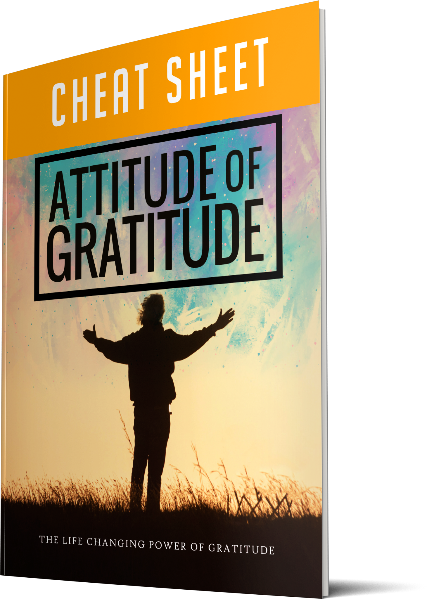 Attitude of Gratitude BUNDLE