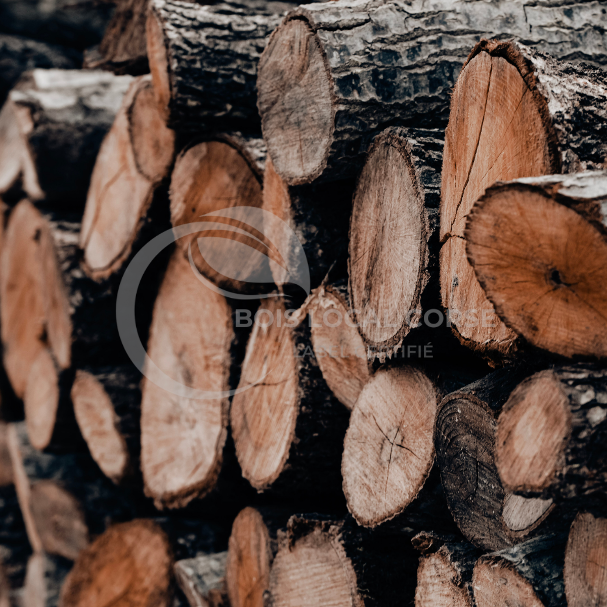 Stère de Châtaignier