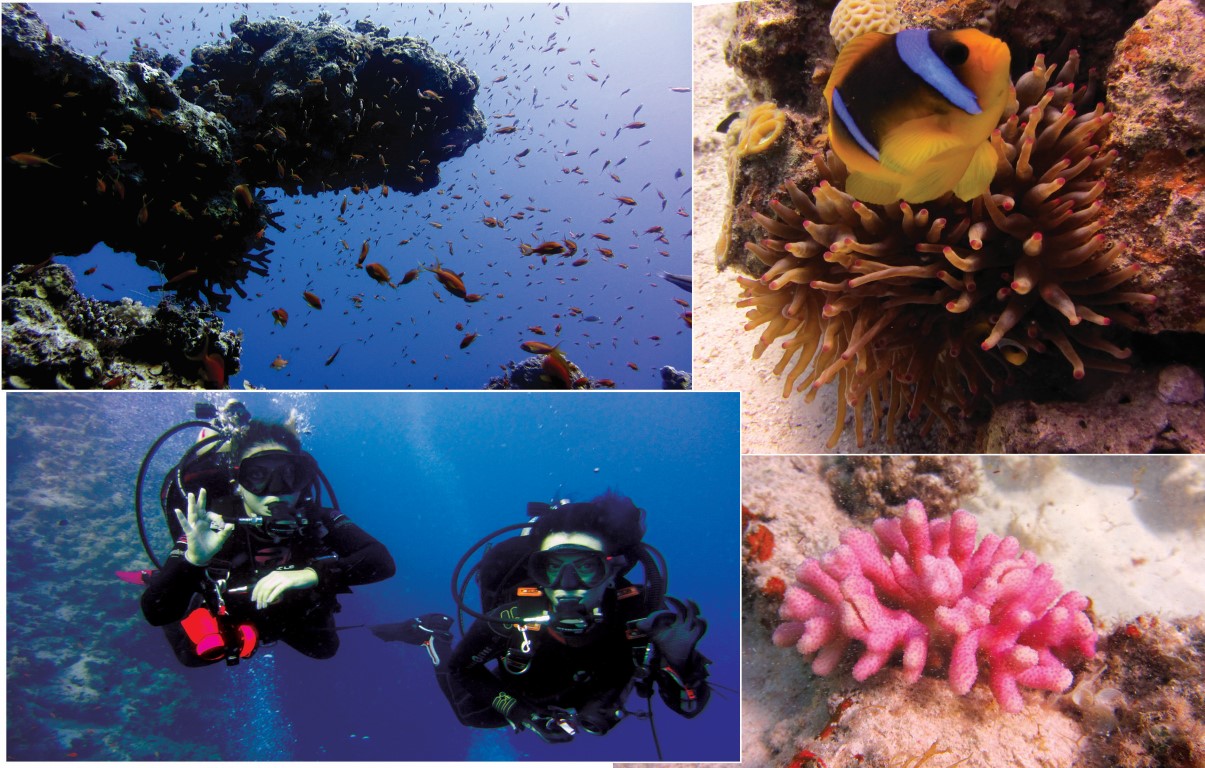 Open Water Package