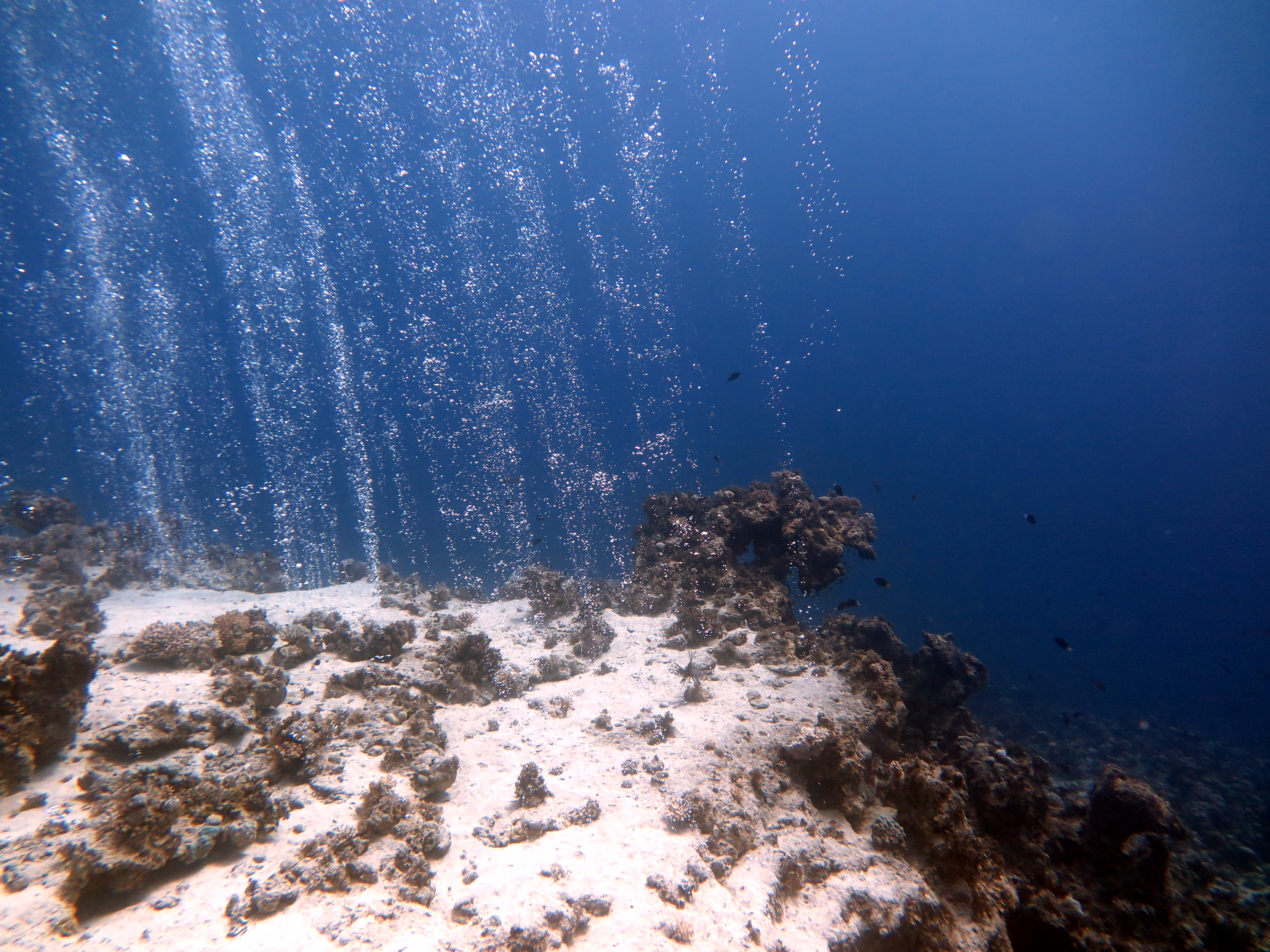 Advanced Open Water Course