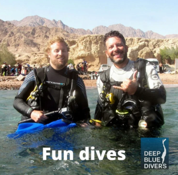 Luxury Hotel Fun Dive Package - half board