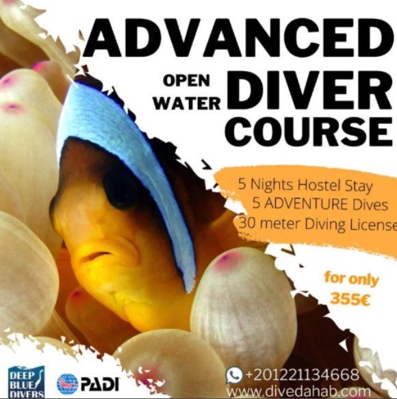 Luxury Hotel Advanced Open Water Course - half board