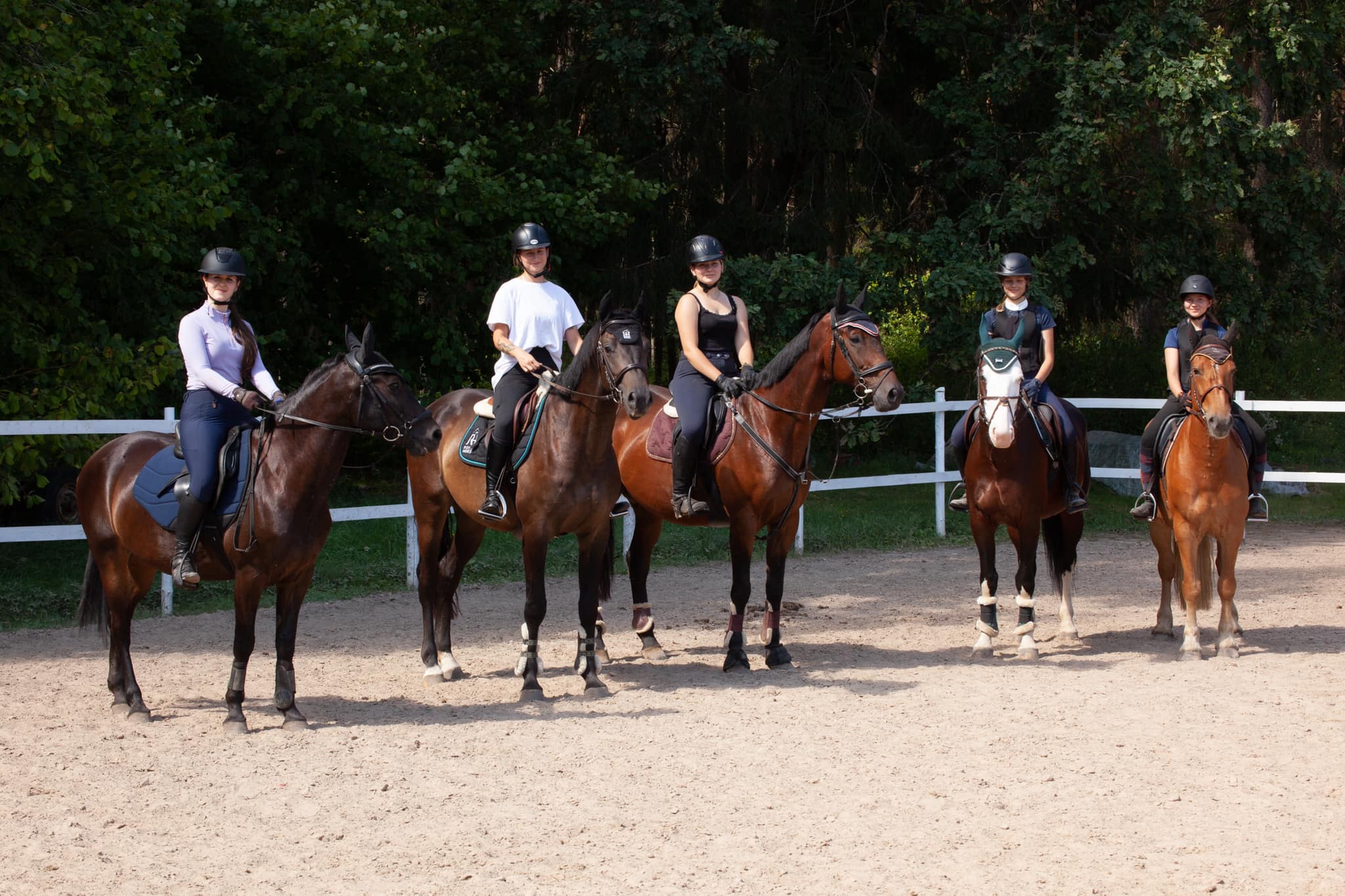 Dovanų kuponas individualiai jodinėjimo treniruotei