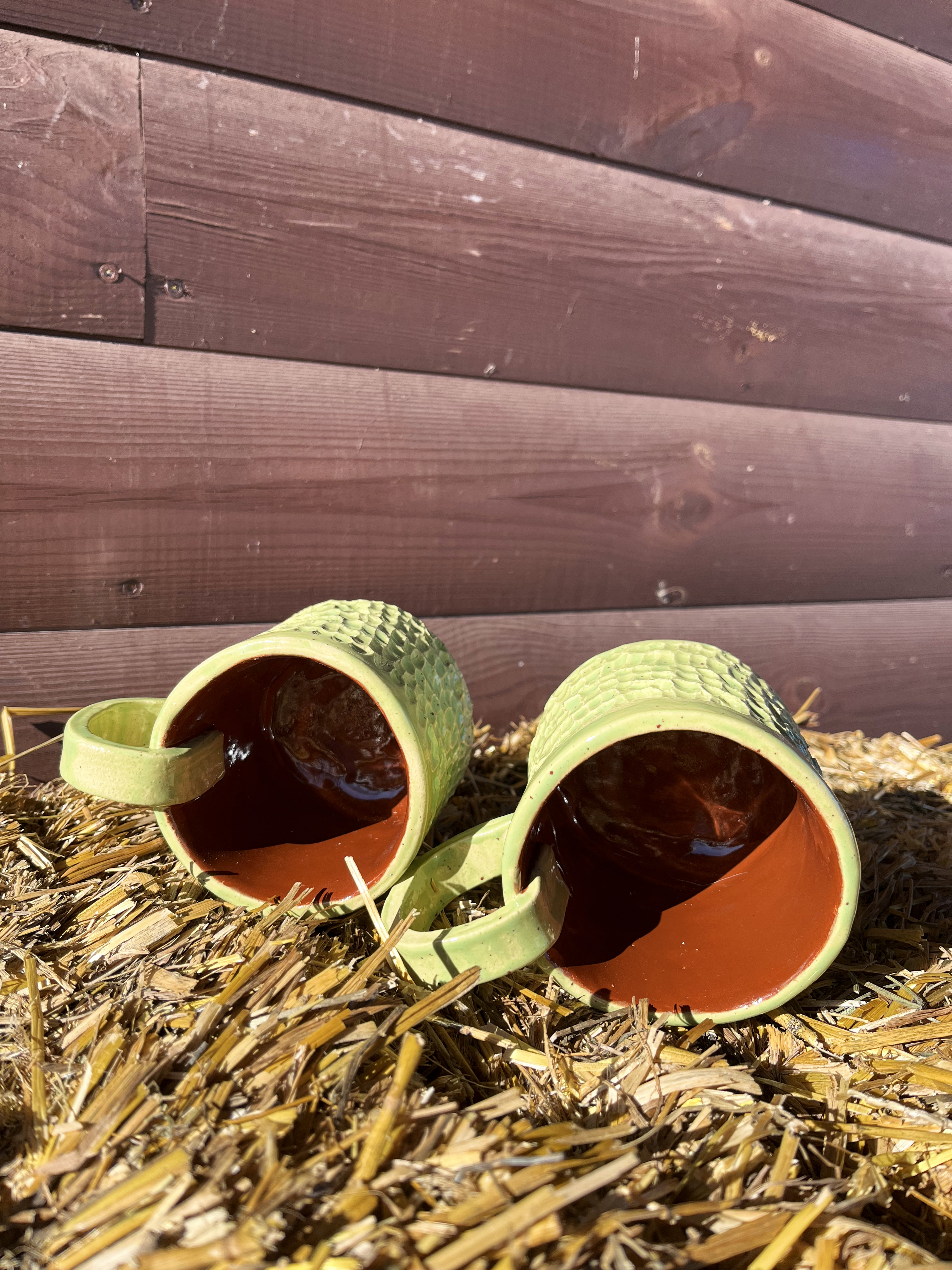 Gaivos puodelių rinkinys su lėkštutėmis